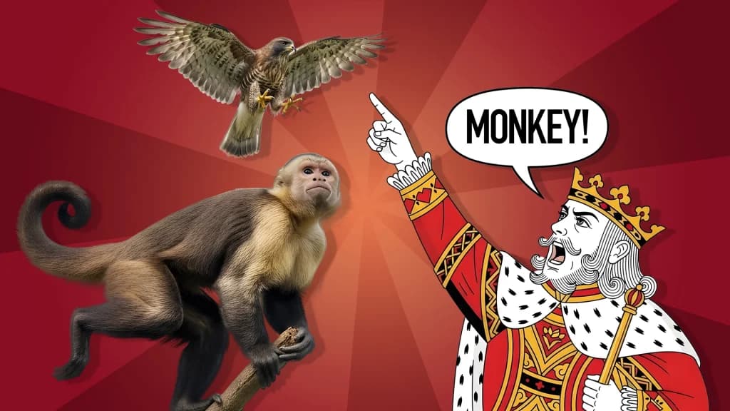 A King points to the left and shouts, ‘Monkey!’ while a falcon flies above a monkey on a two-tone red background.
