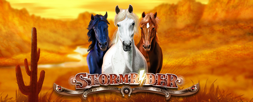 Storm Rider