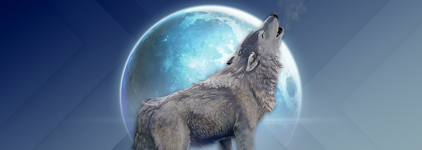 Discover a moonlit adventure filled with free spins, multipliers and more! We cover all the details in our Mystic Wolf slot review. 